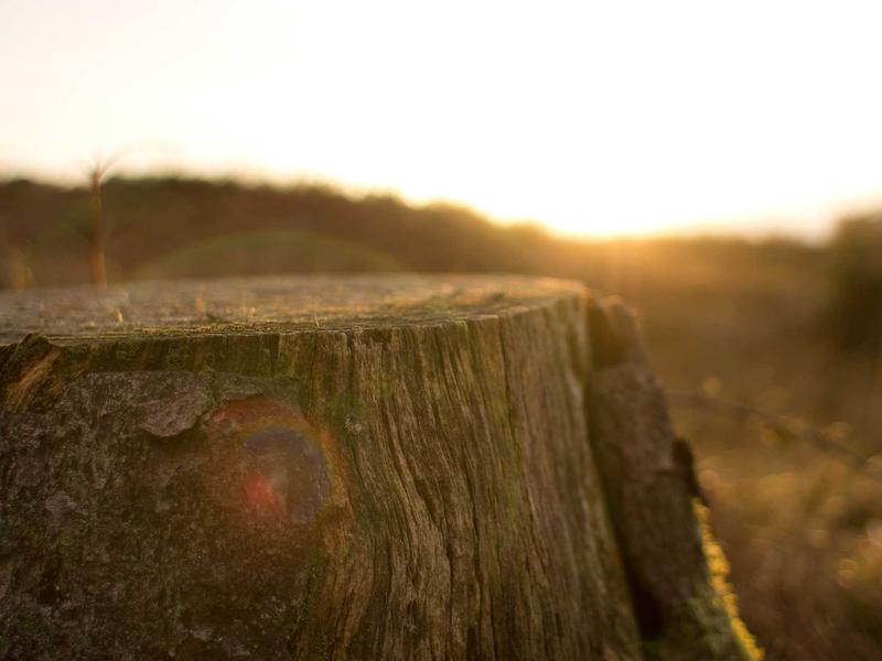 sudoku free online screenshot 1